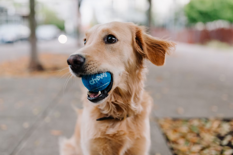 ball